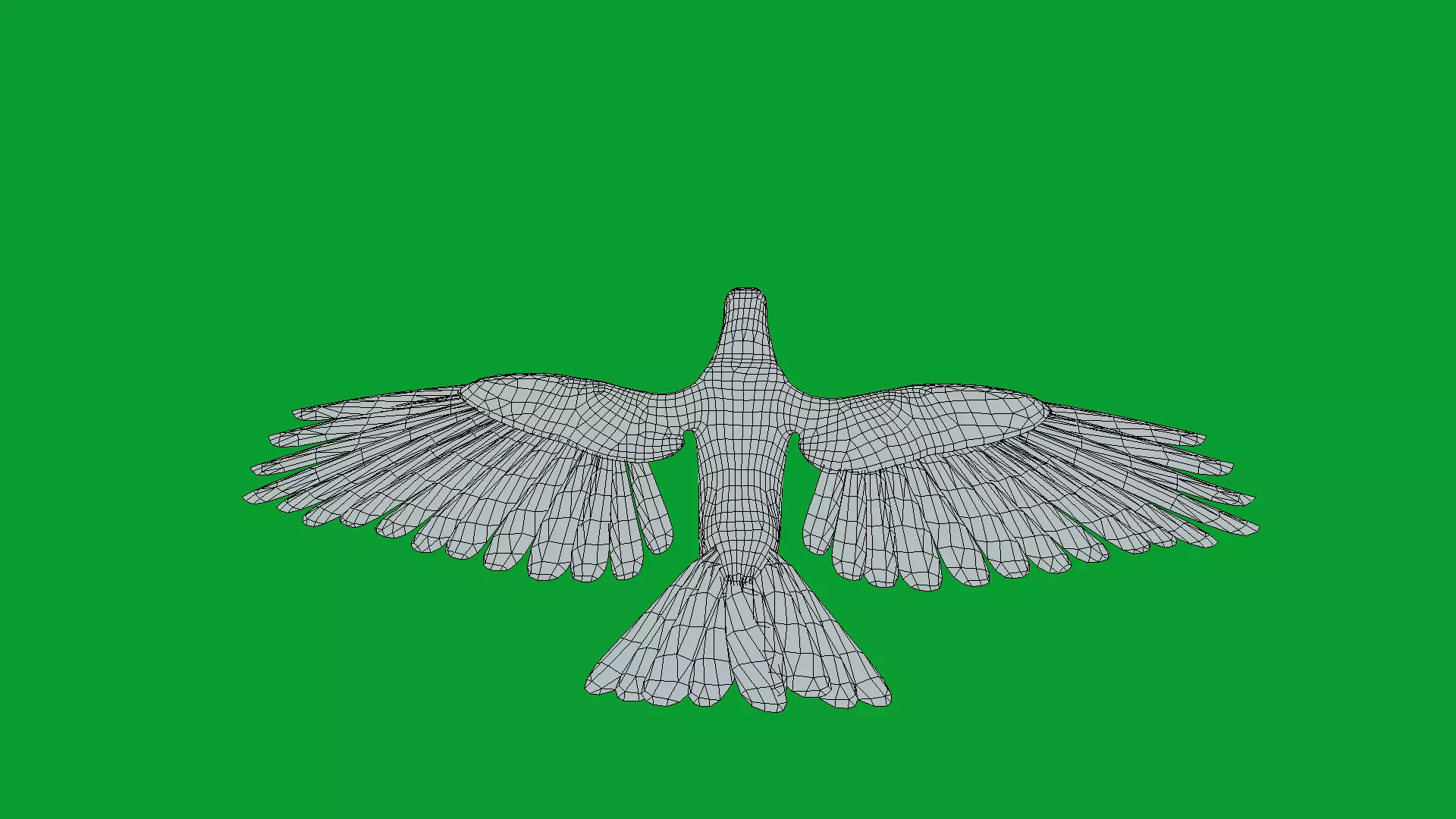 Bald Eagle Bird Low-poly 3D model_27