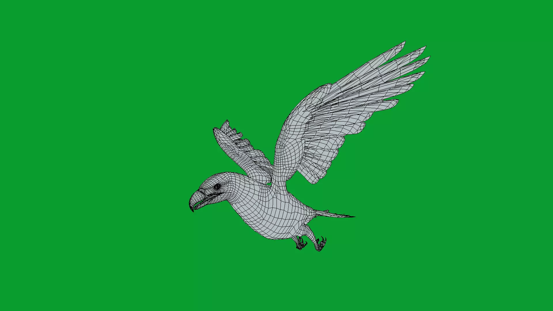 Bald Eagle Bird Low-poly 3D model_24