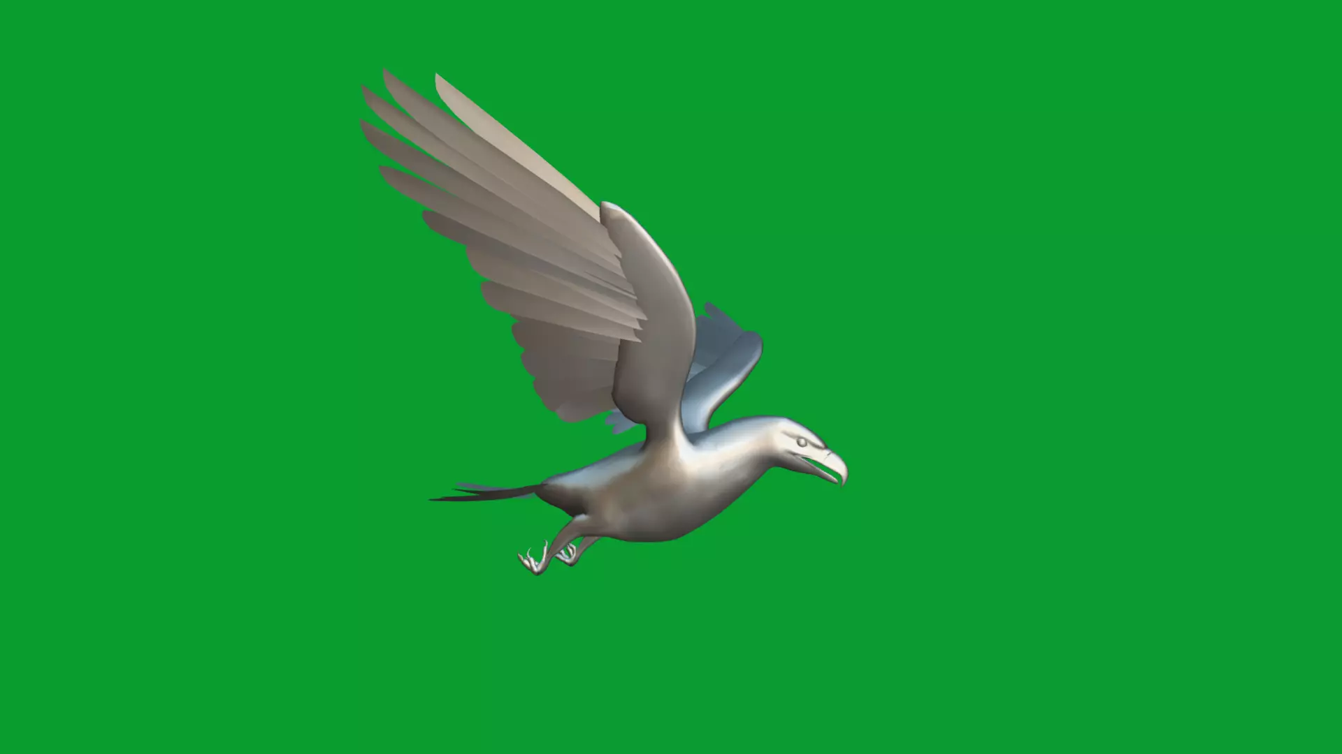 Bald Eagle Bird Low-poly 3D model_28