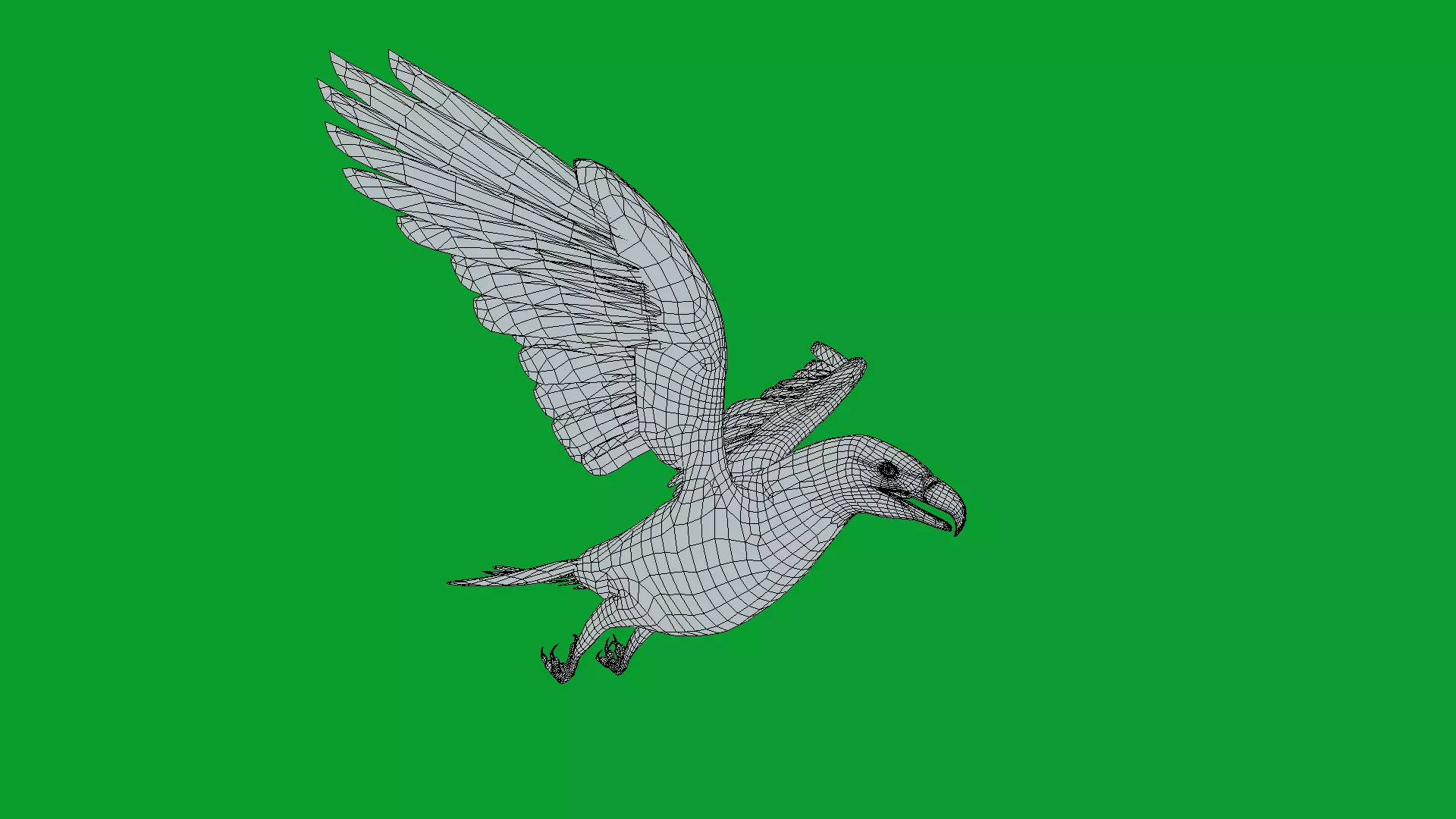 Bald Eagle Bird Low-poly 3D model_21