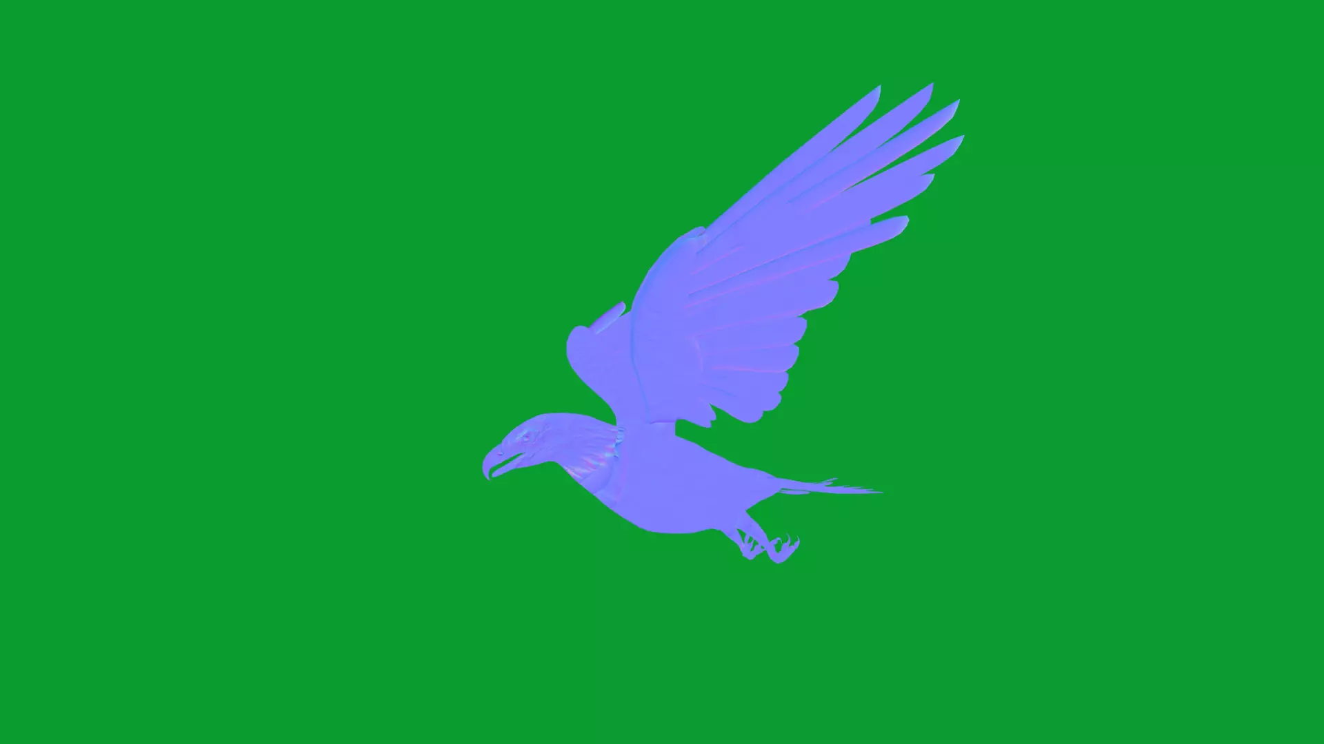 Bald Eagle Bird Low-poly 3D model_16