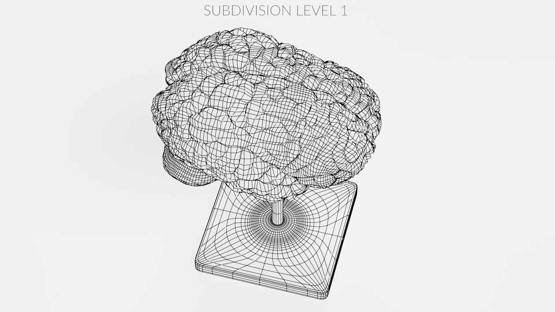 -Plastic Brain Model on Stand- 3D model_11