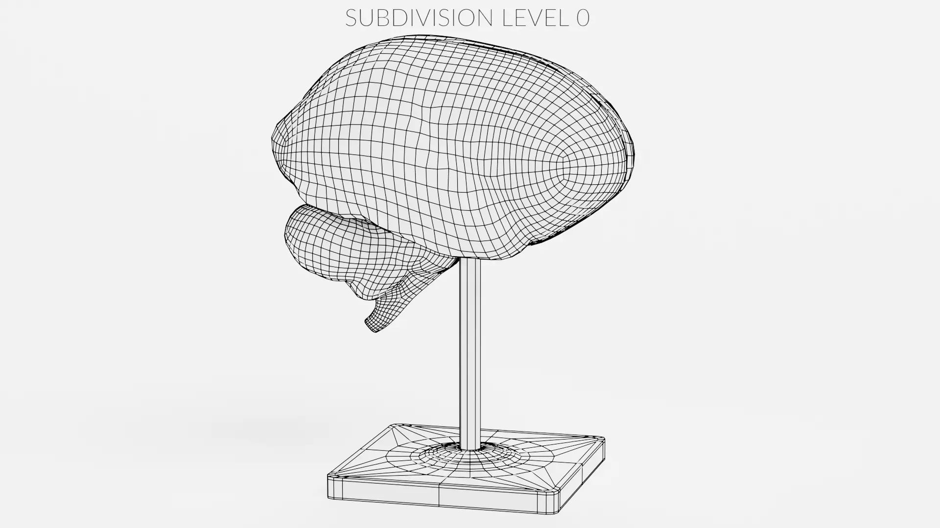 -Plastic Brain Model on Stand- 3D model_8