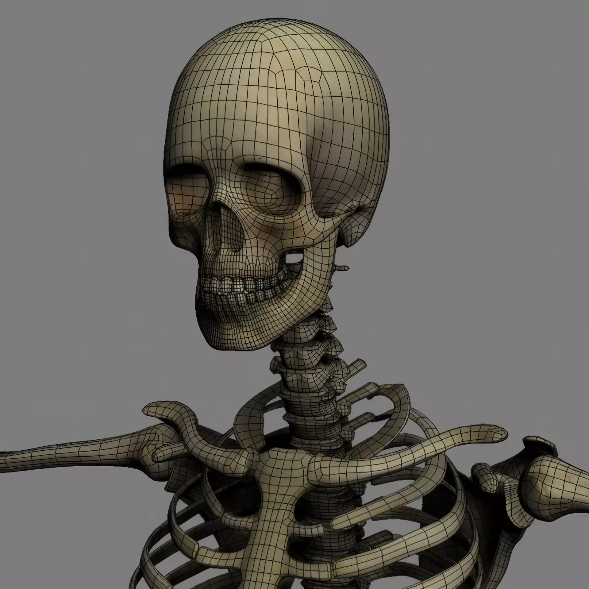 Human Skeleton System Rigged 3D model_20