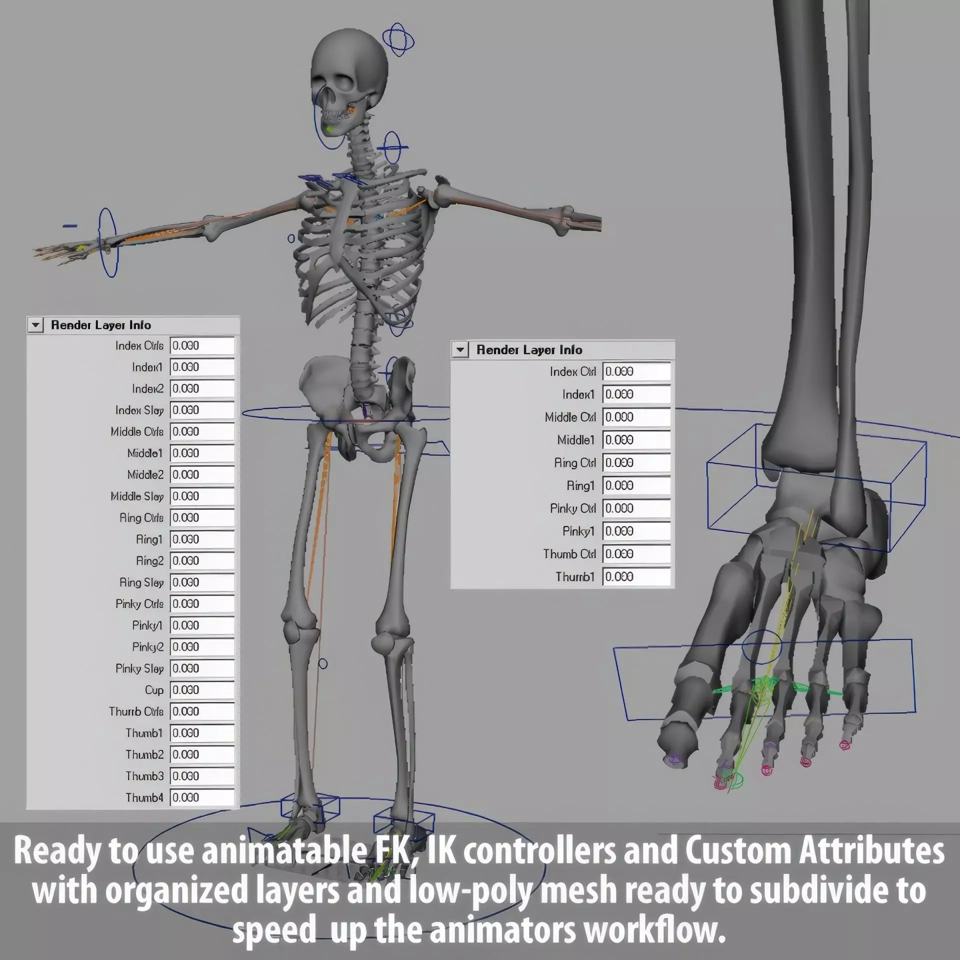 Human Skeleton System Rigged 3D model_31