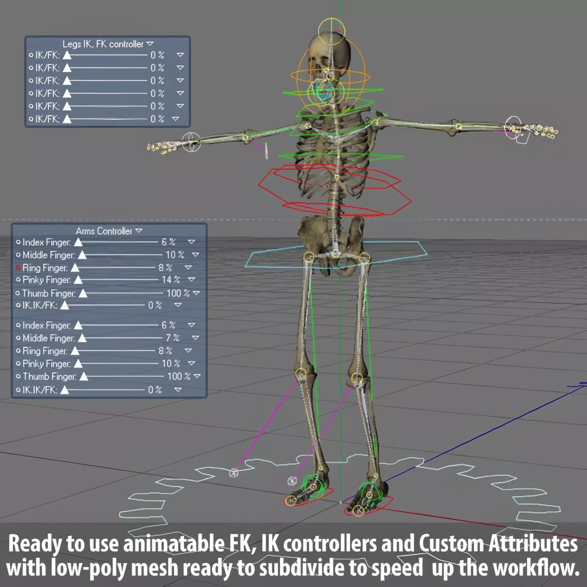 Human Skeleton System Rigged 3D model_30