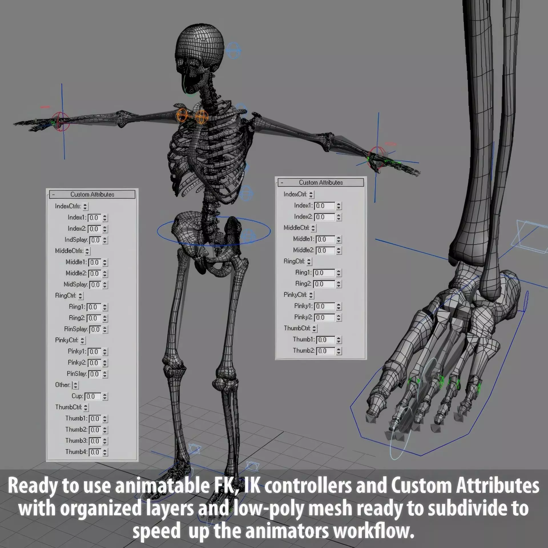 Human Skeleton System Rigged 3D model_29