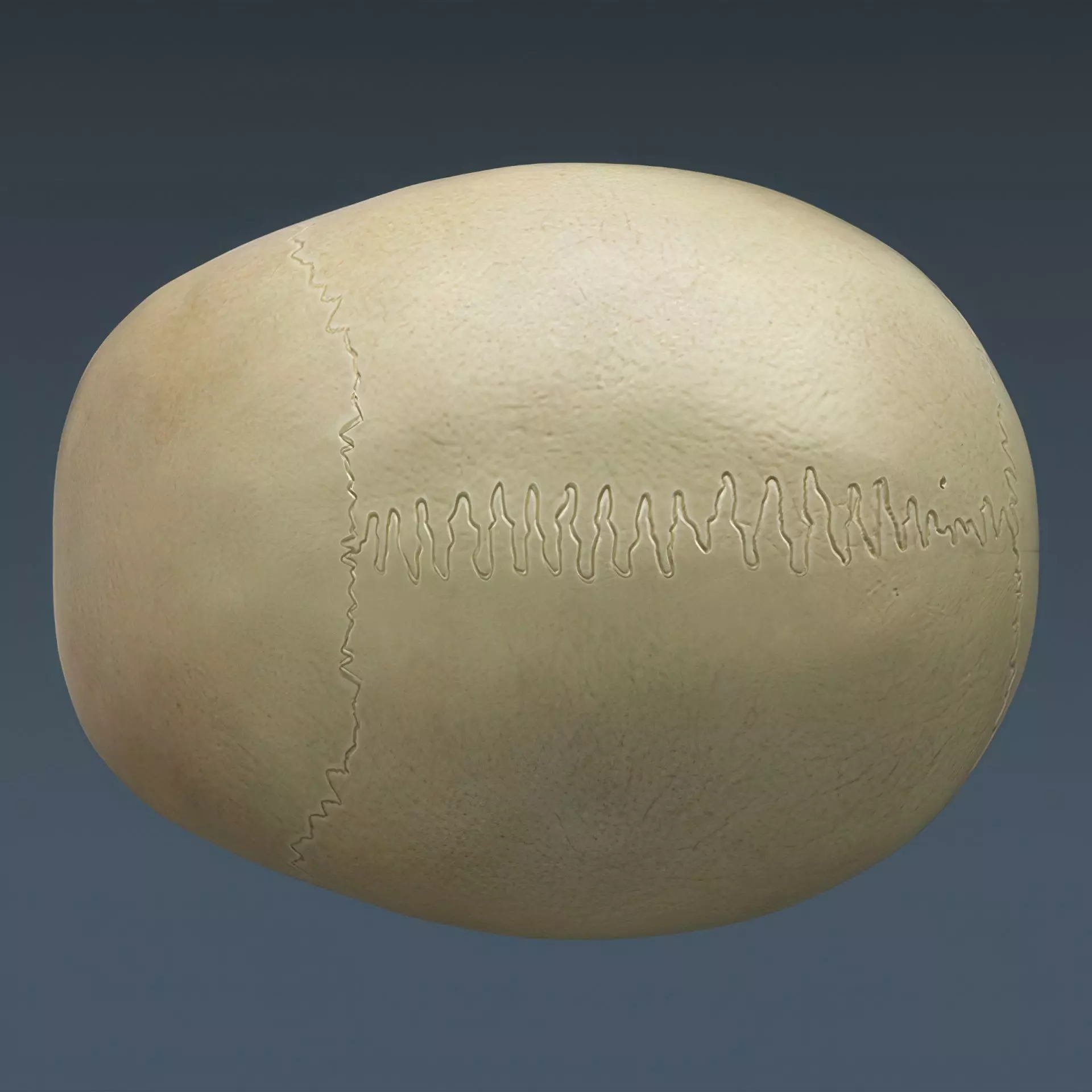 Human Skeleton System Rigged 3D model_16