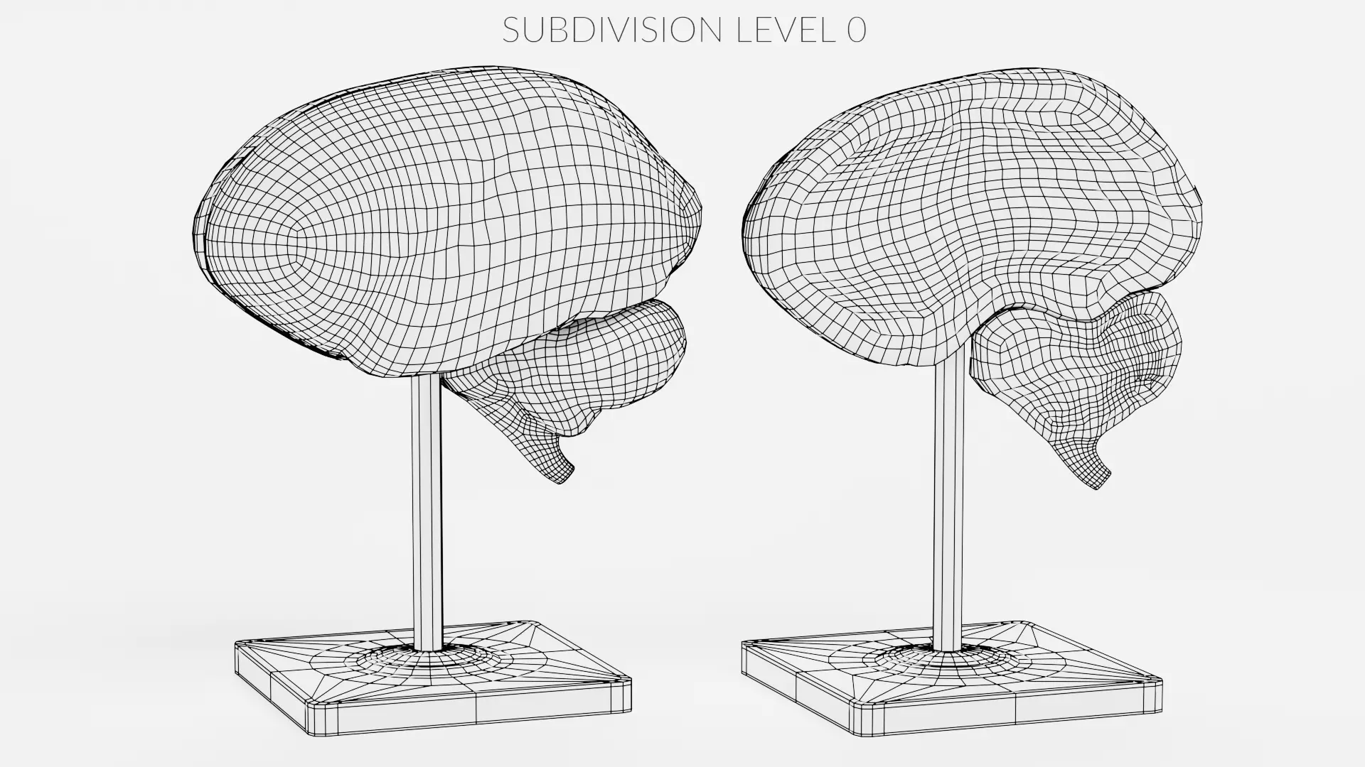 -Brain Models- 3D model_12