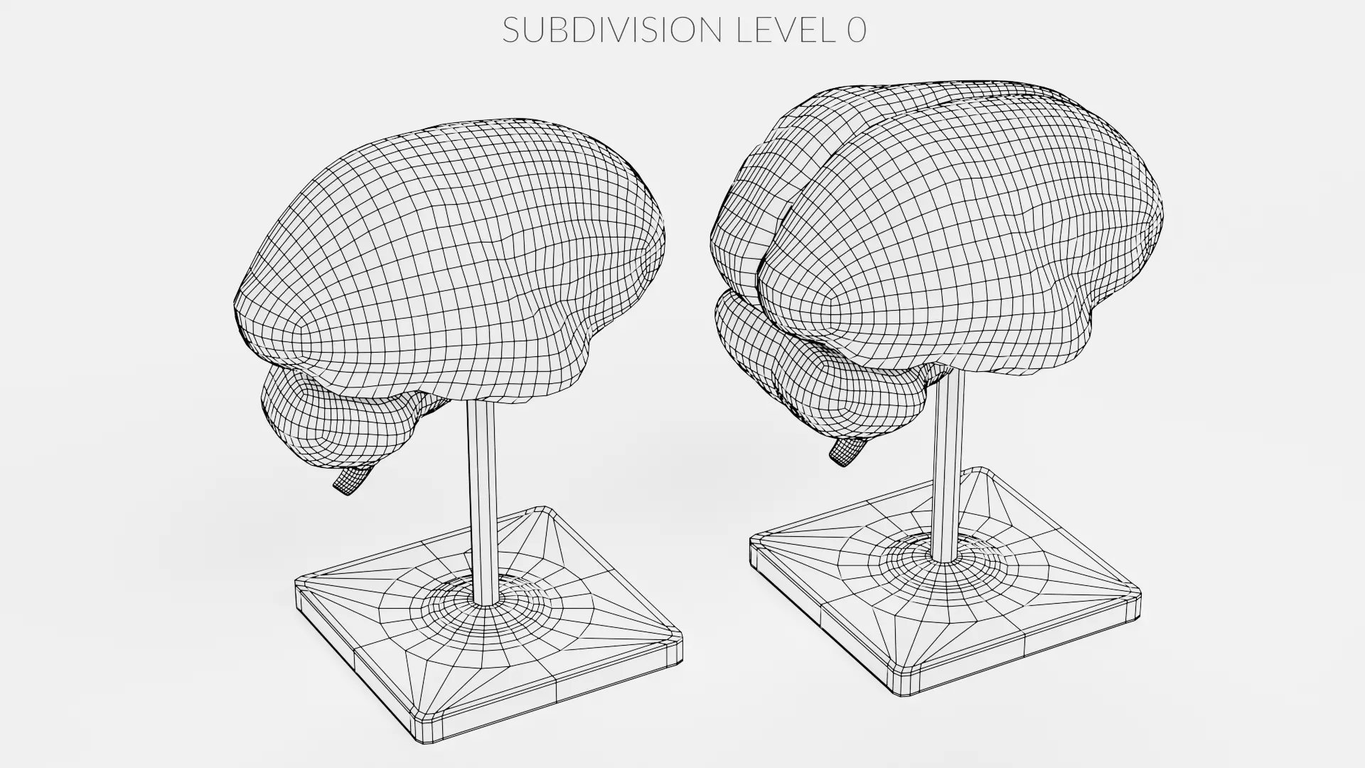 -Brain Models- 3D model_14