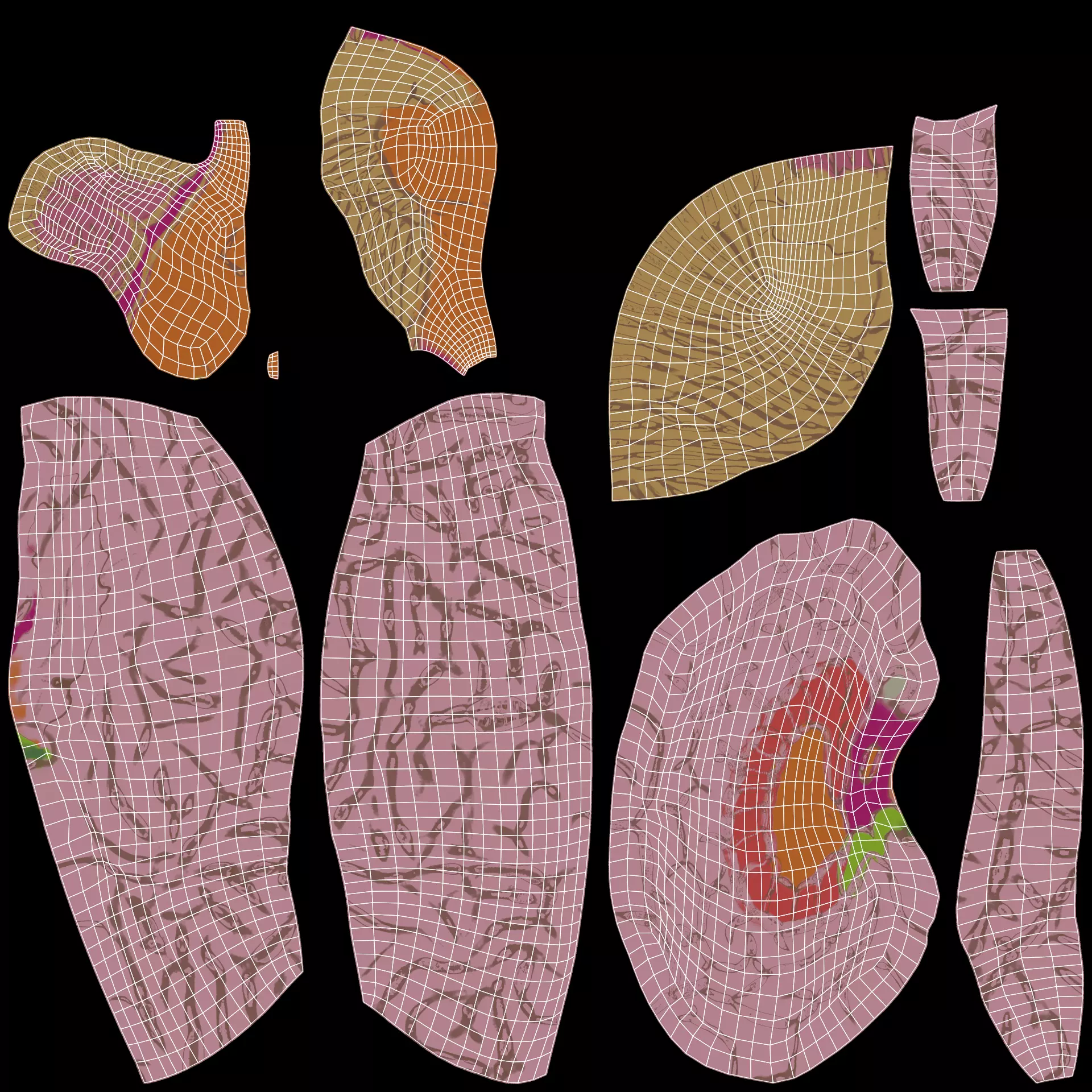 -Brain Models- 3D model_11