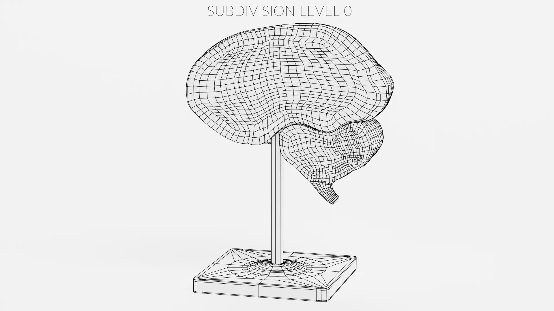 -Plastic Brain Section on Stand- 3D model_8
