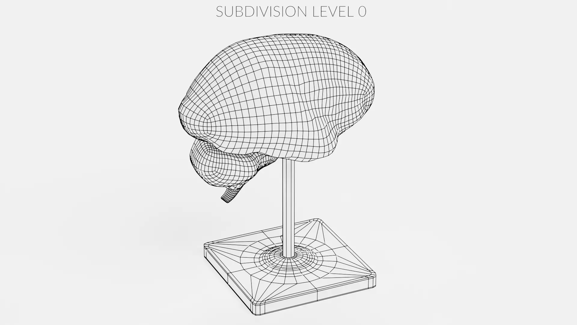 -Plastic Brain Section on Stand- 3D model_10