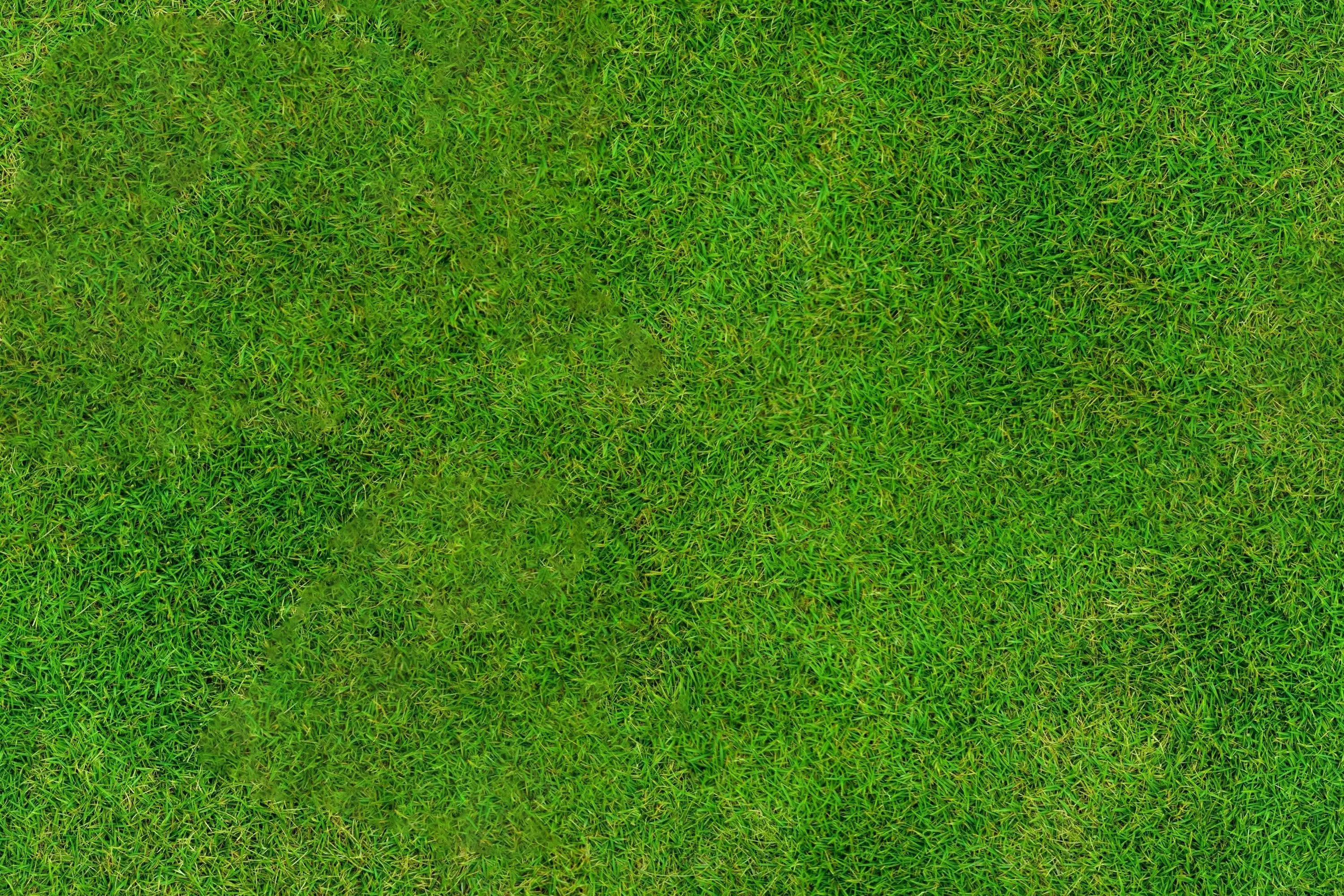 HandPainted Fantasy House Low-poly 3D model_131