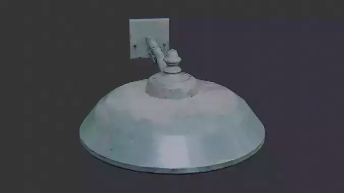 Wall Mounted Rustic Lamp with Steel Arm