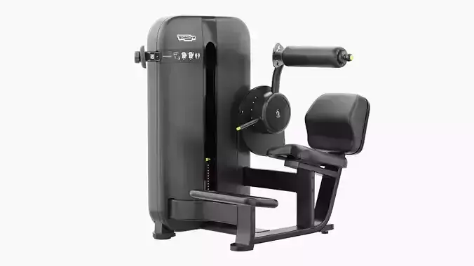 Technogym Artis Lower Back