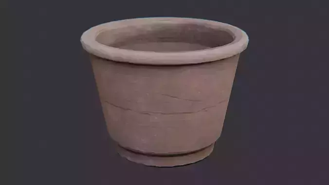Small terracotta potted plant