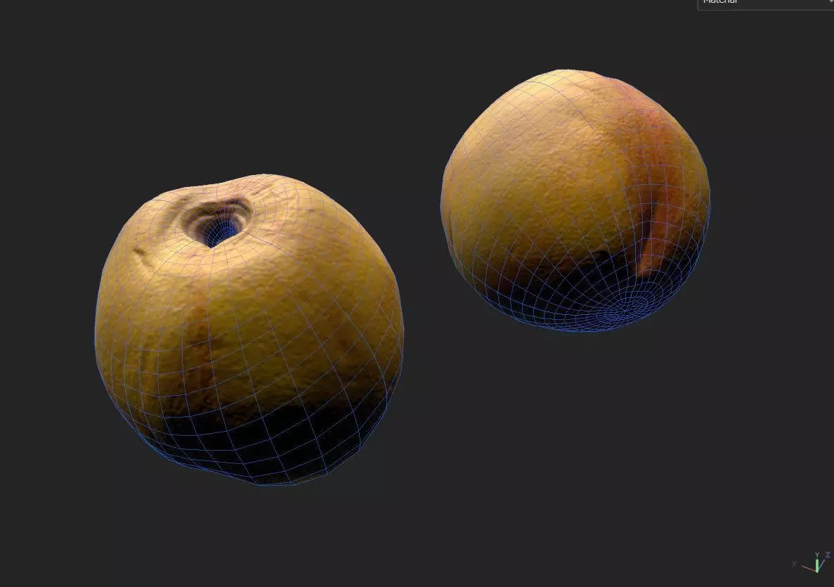 Nectarine M02 Low-poly 3D model_1