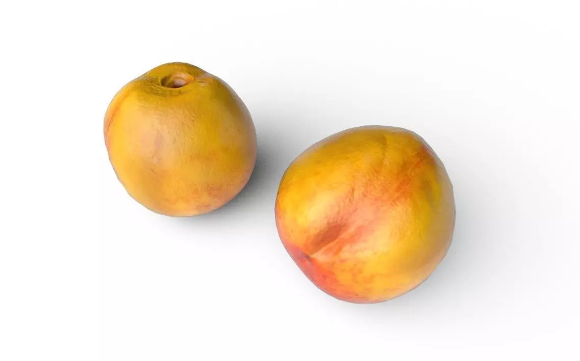 Nectarine M02 Low-poly 3D model_3