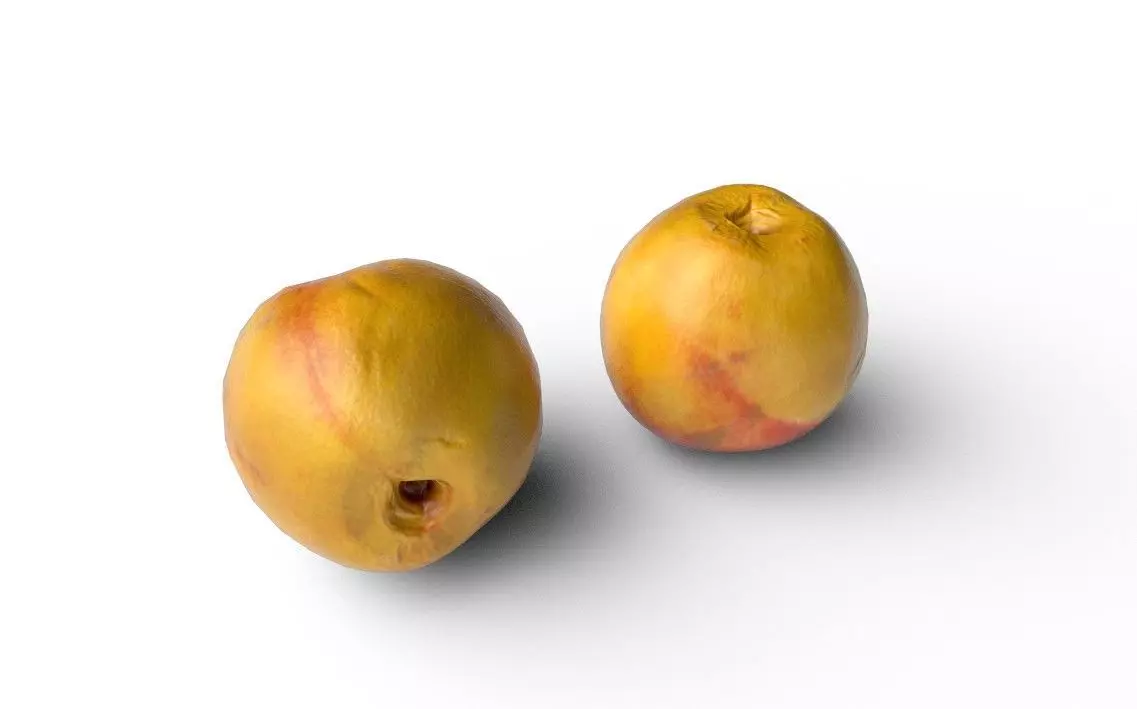 Nectarine M02 Low-poly 3D model_4