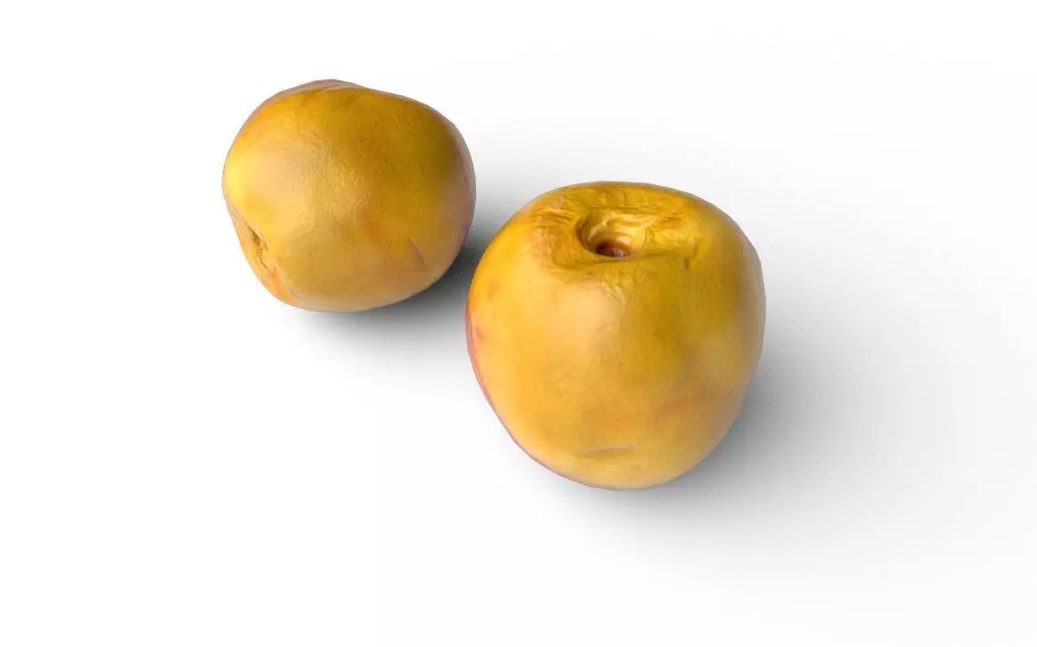 Nectarine M02 Low-poly 3D model_5