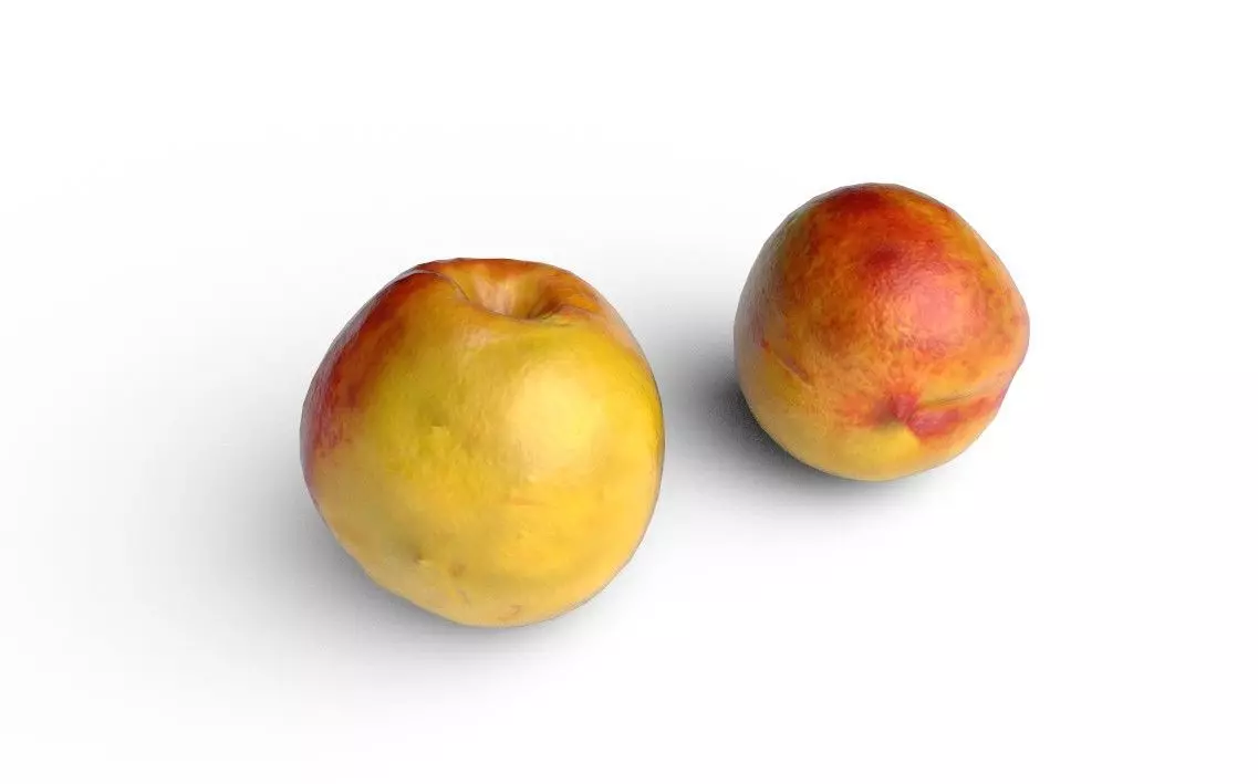 Nectarine  M03 Low-poly 3D model_0