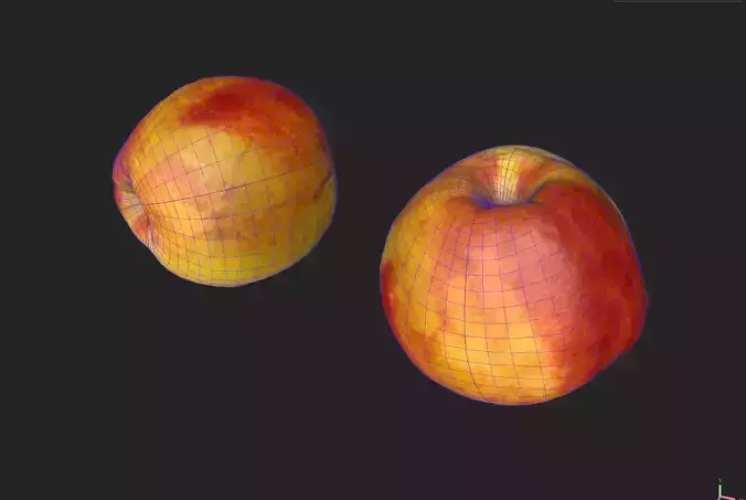 Nectarine  M03 Low-poly 3D model 7