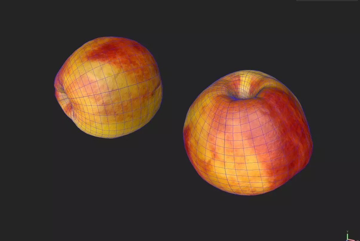 Nectarine  M03 Low-poly 3D model_6