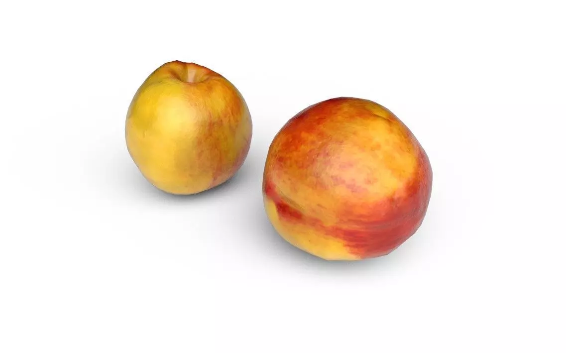 Nectarine  M03 Low-poly 3D model_3