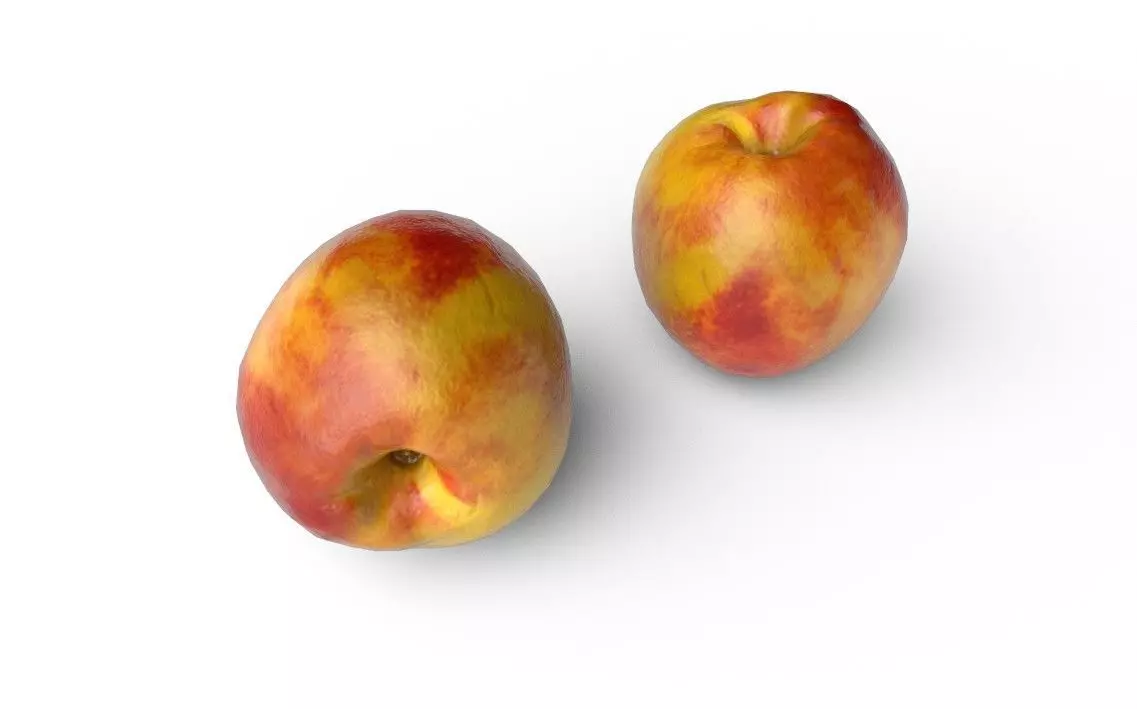 Nectarine  M03 Low-poly 3D model_4