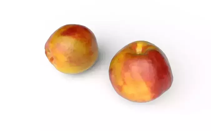 Nectarine  M03 Low-poly 3D model 6