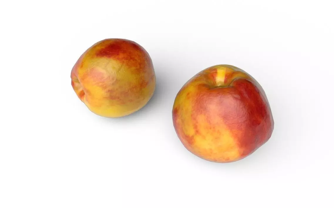 Nectarine  M03 Low-poly 3D model_5