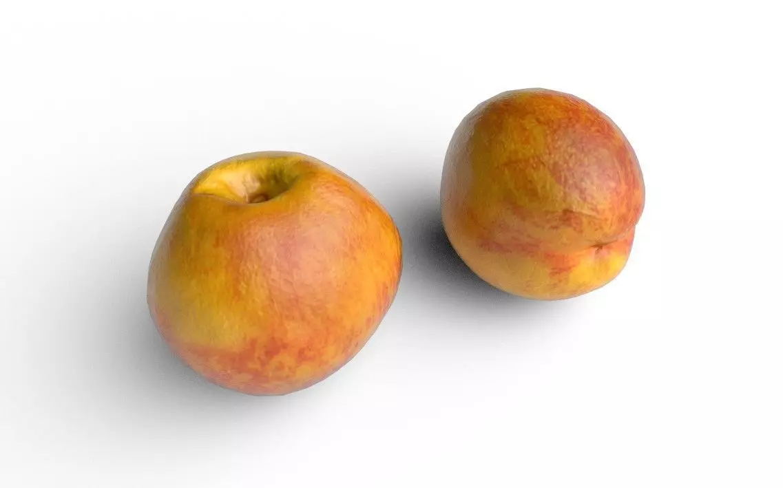 Nectarine  M05 Low-poly 3D model_0