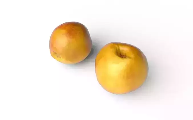 Nectarine  M05 Low-poly 3D model 6