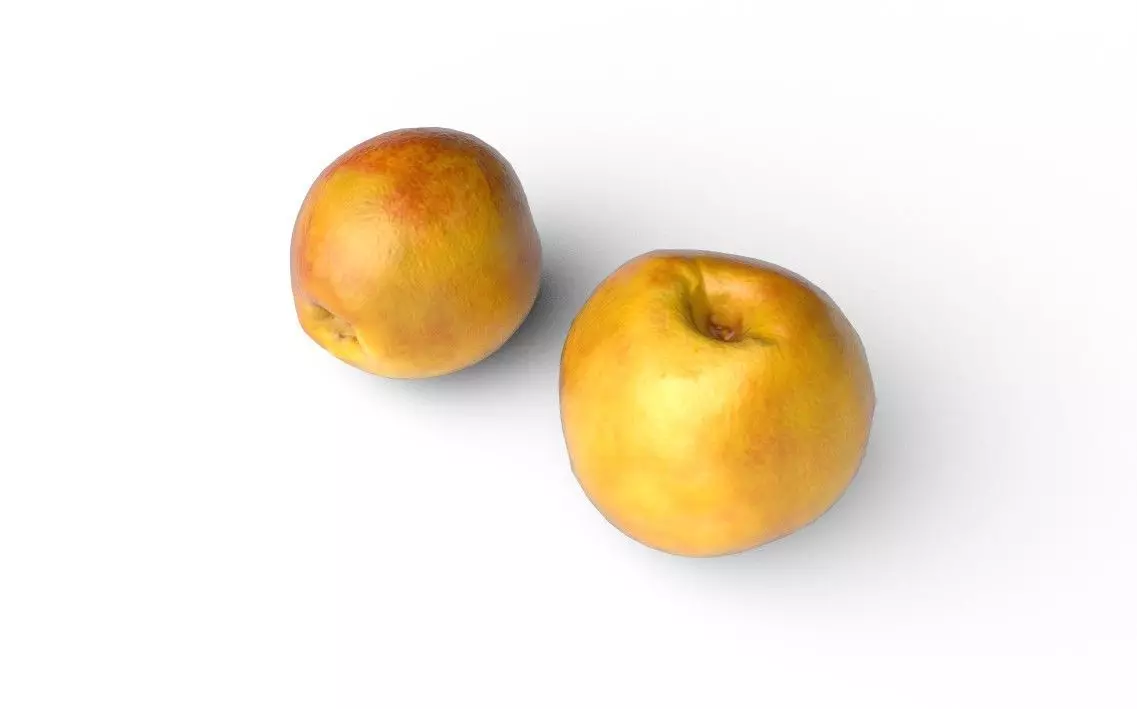 Nectarine  M05 Low-poly 3D model_5