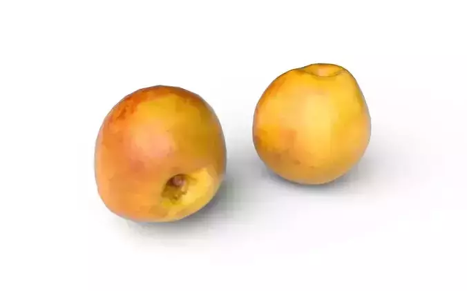 Nectarine  M05 Low-poly 3D model 5