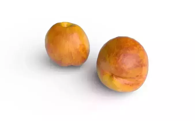 Nectarine  M05 Low-poly 3D model 4