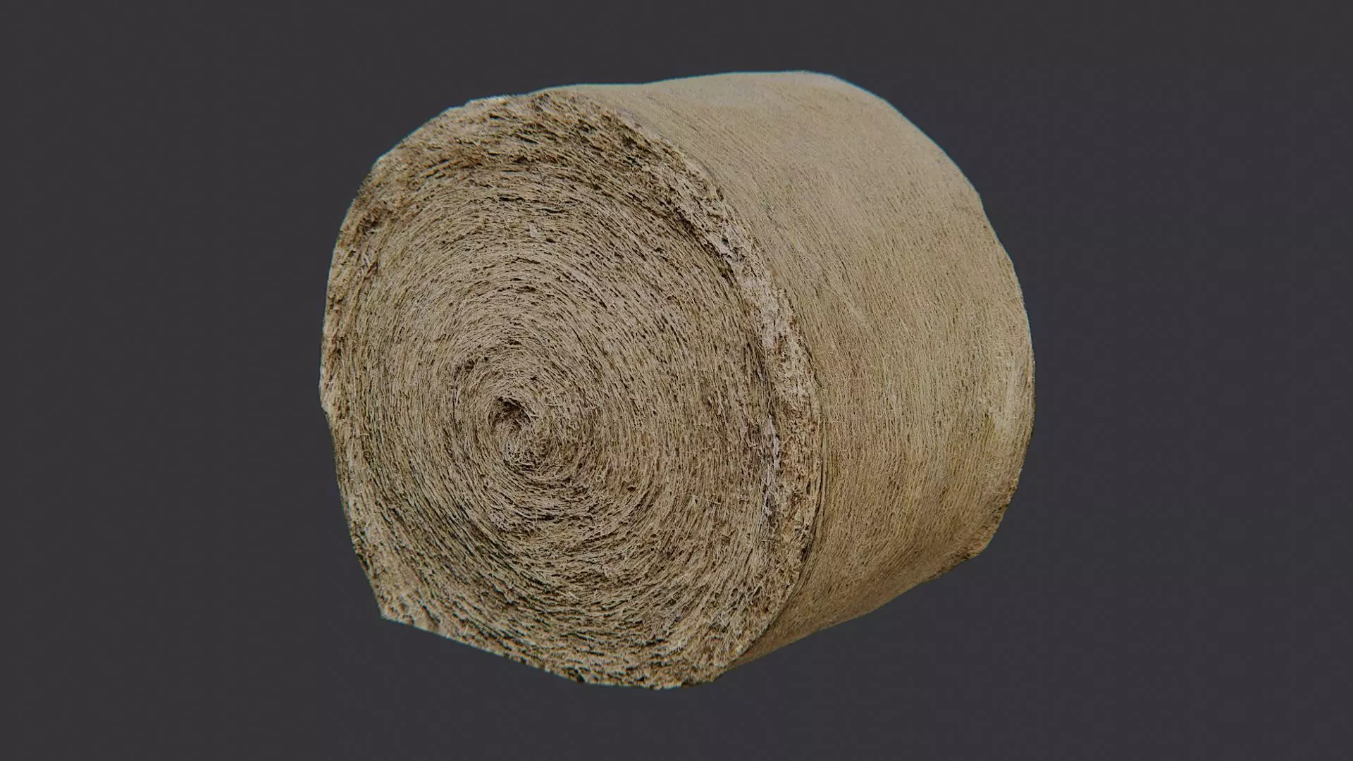 Large Round Hay Bale Low-poly 3D model_2