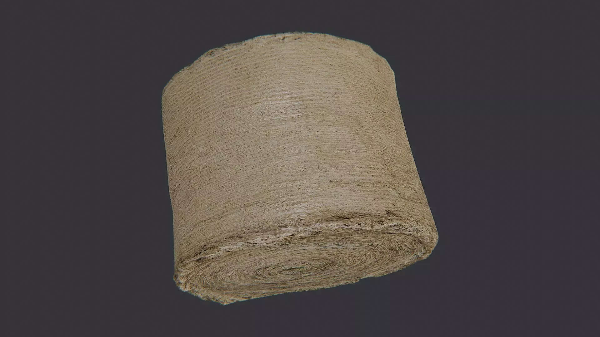 Large Round Hay Bale Low-poly 3D model_4