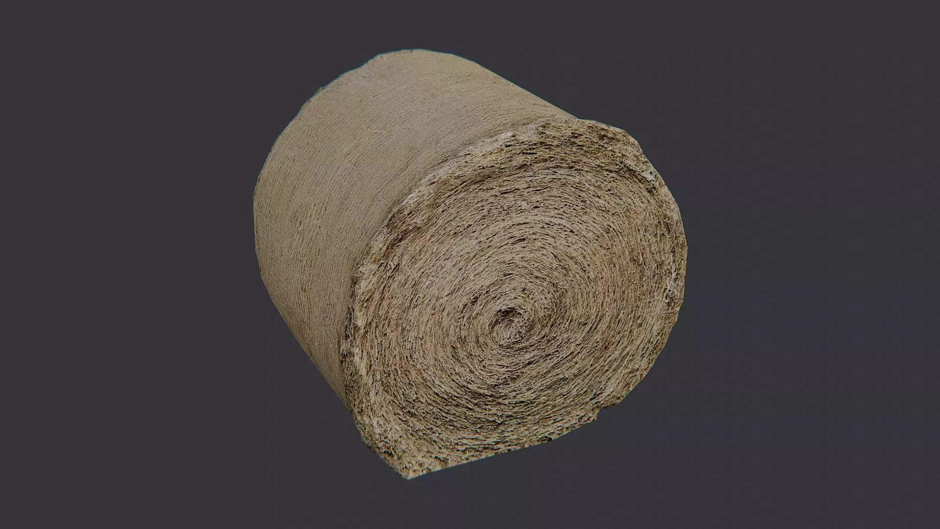 Large Round Hay Bale Low-poly 3D model_0