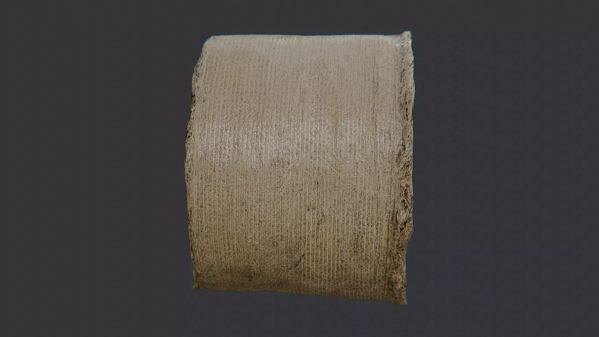 Large Round Hay Bale Low-poly 3D model_1