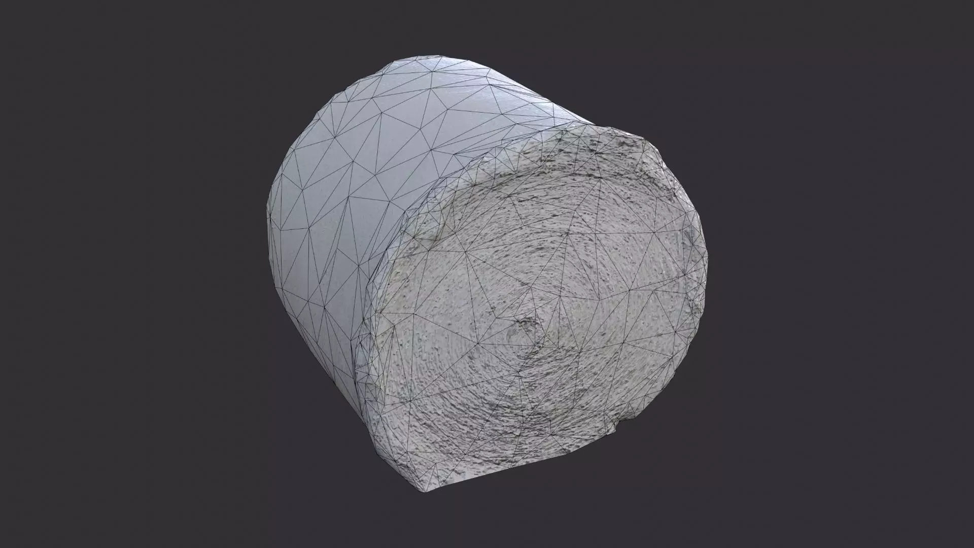 Large Round Hay Bale Low-poly 3D model_7