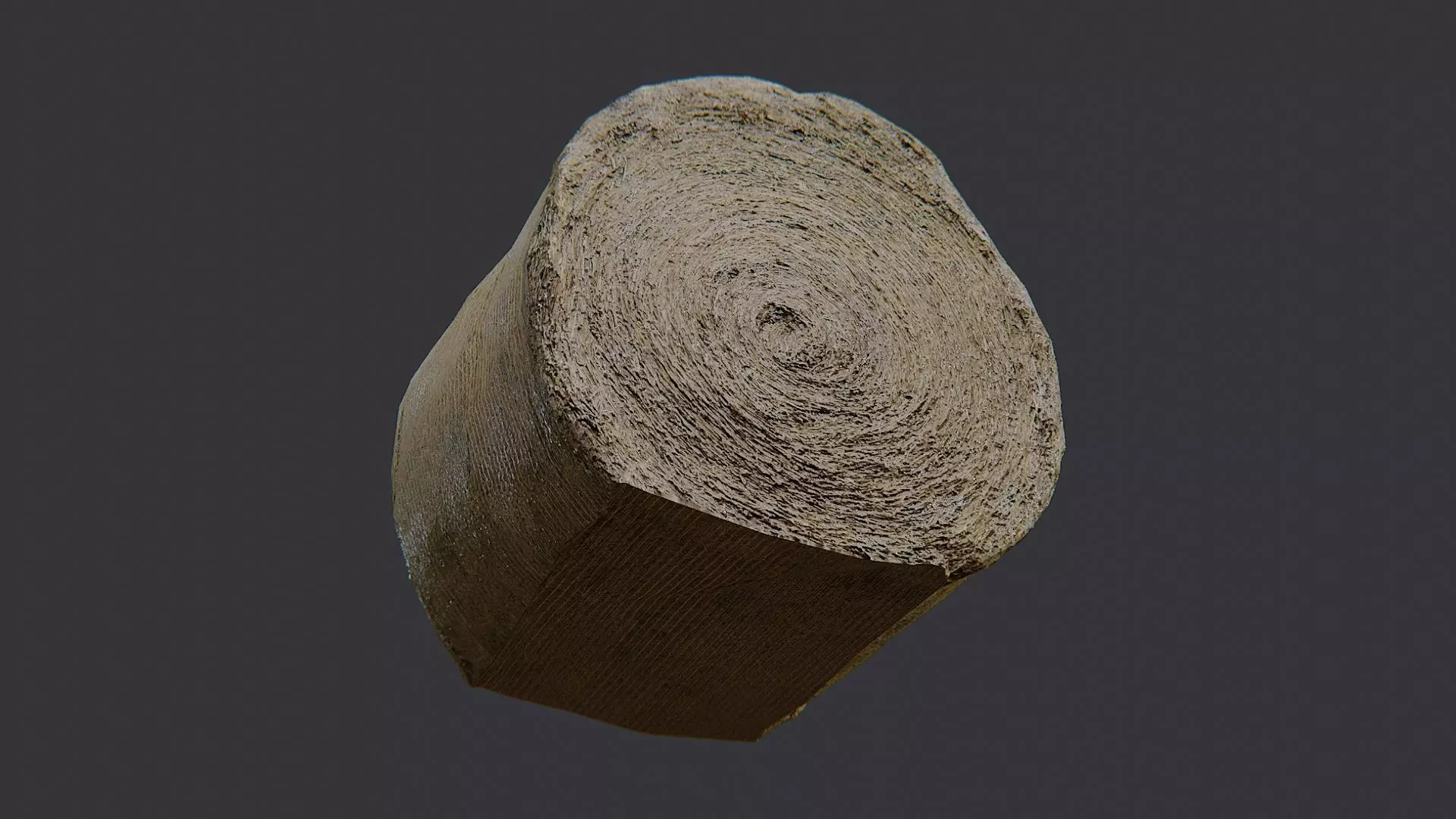 Large Round Hay Bale Low-poly 3D model_5