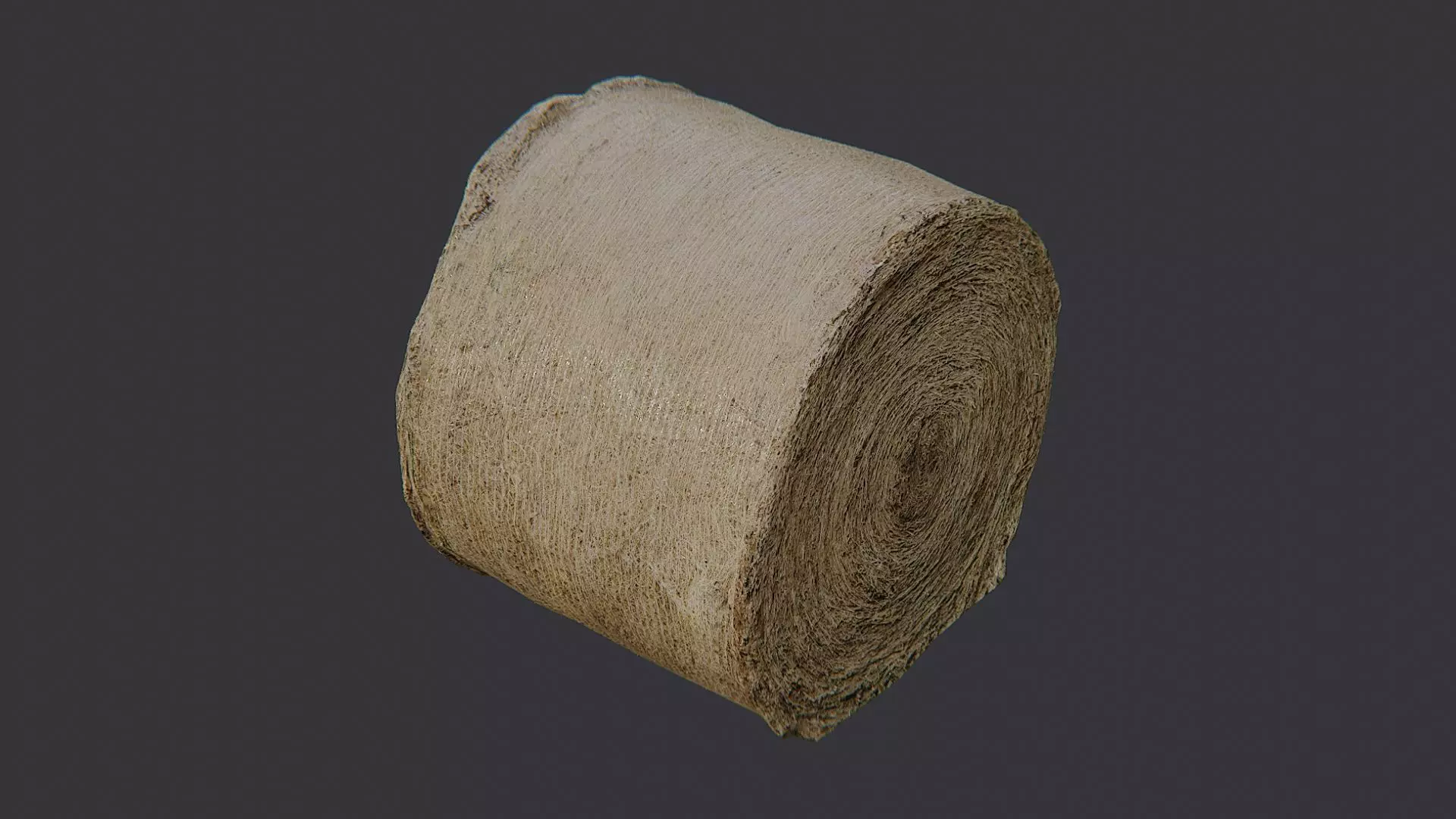 Large Round Hay Bale Low-poly 3D model_3