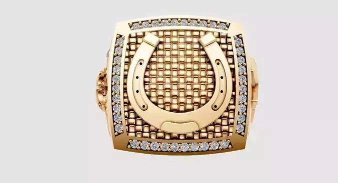 Horseshoe Signet Ring