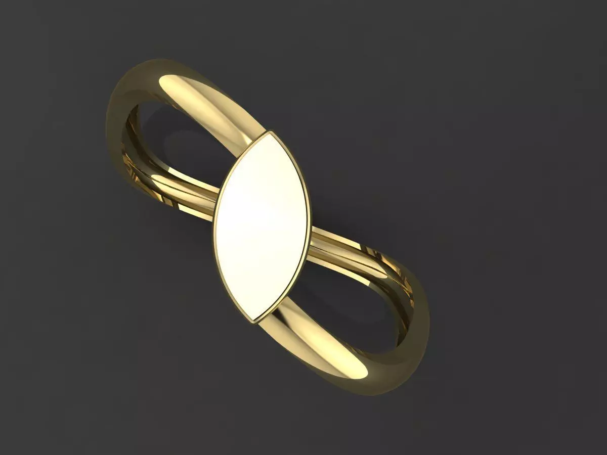 rings 3D print model_6