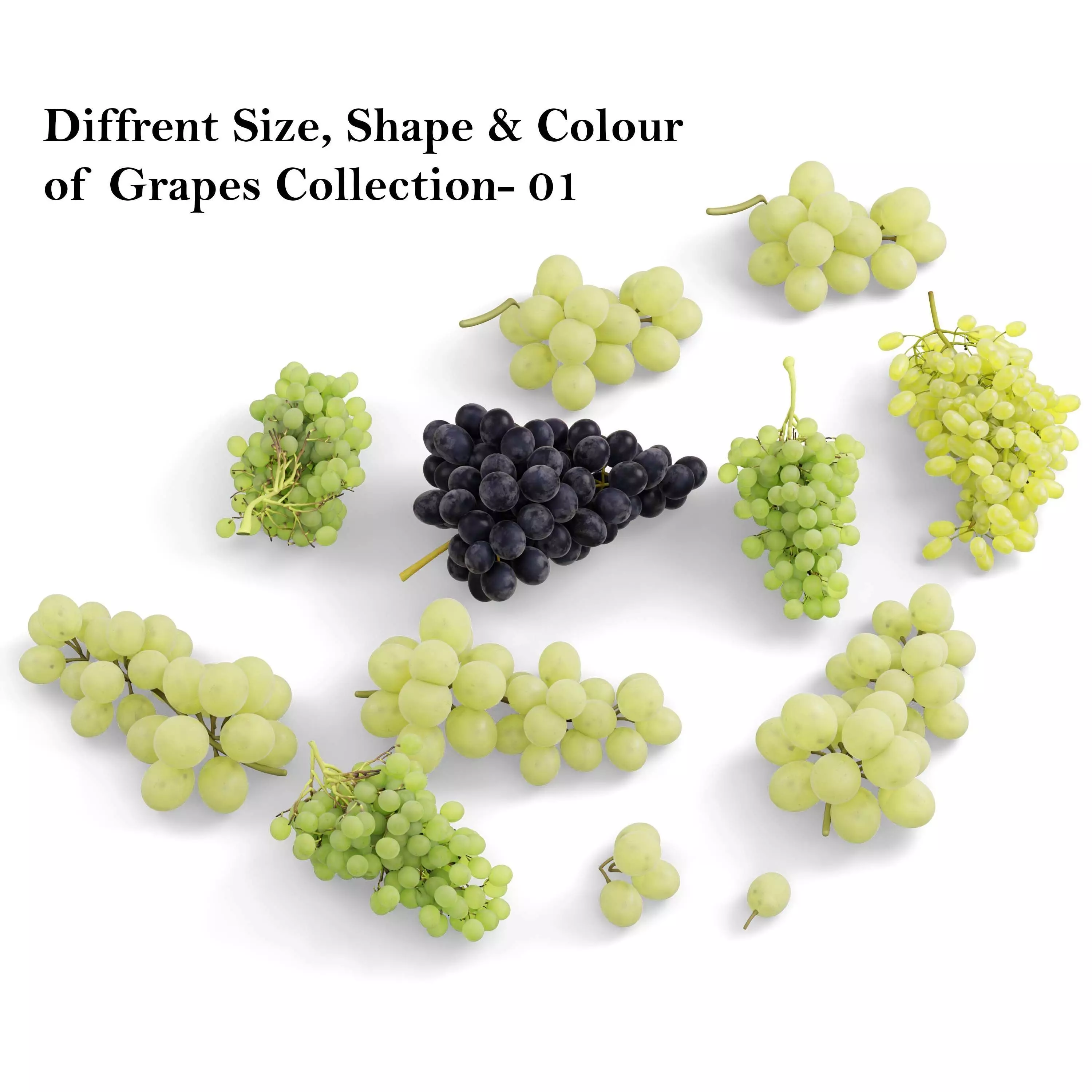 Green and black Grapes fruits collection 3D model