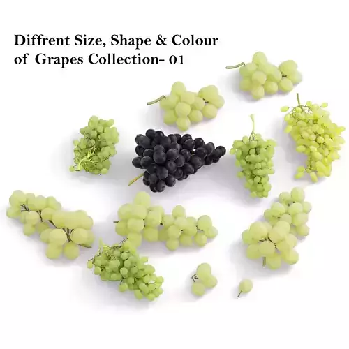 Green and black Grapes fruits collection