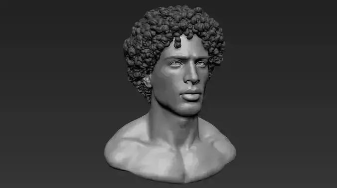 Male Bust with Curly Hair