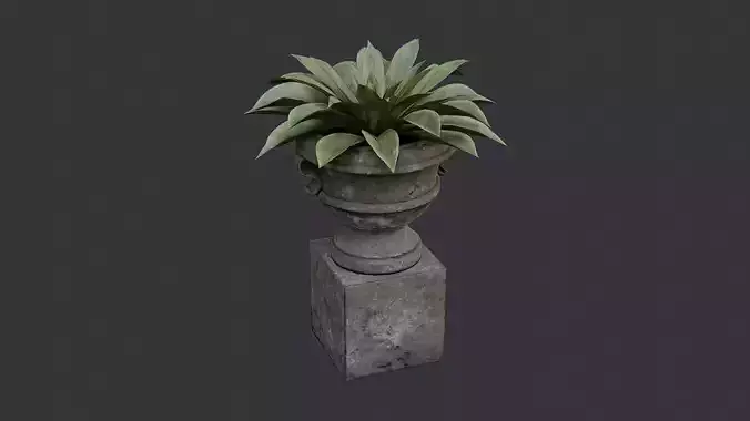 Potted Plant on Stone Pedestal